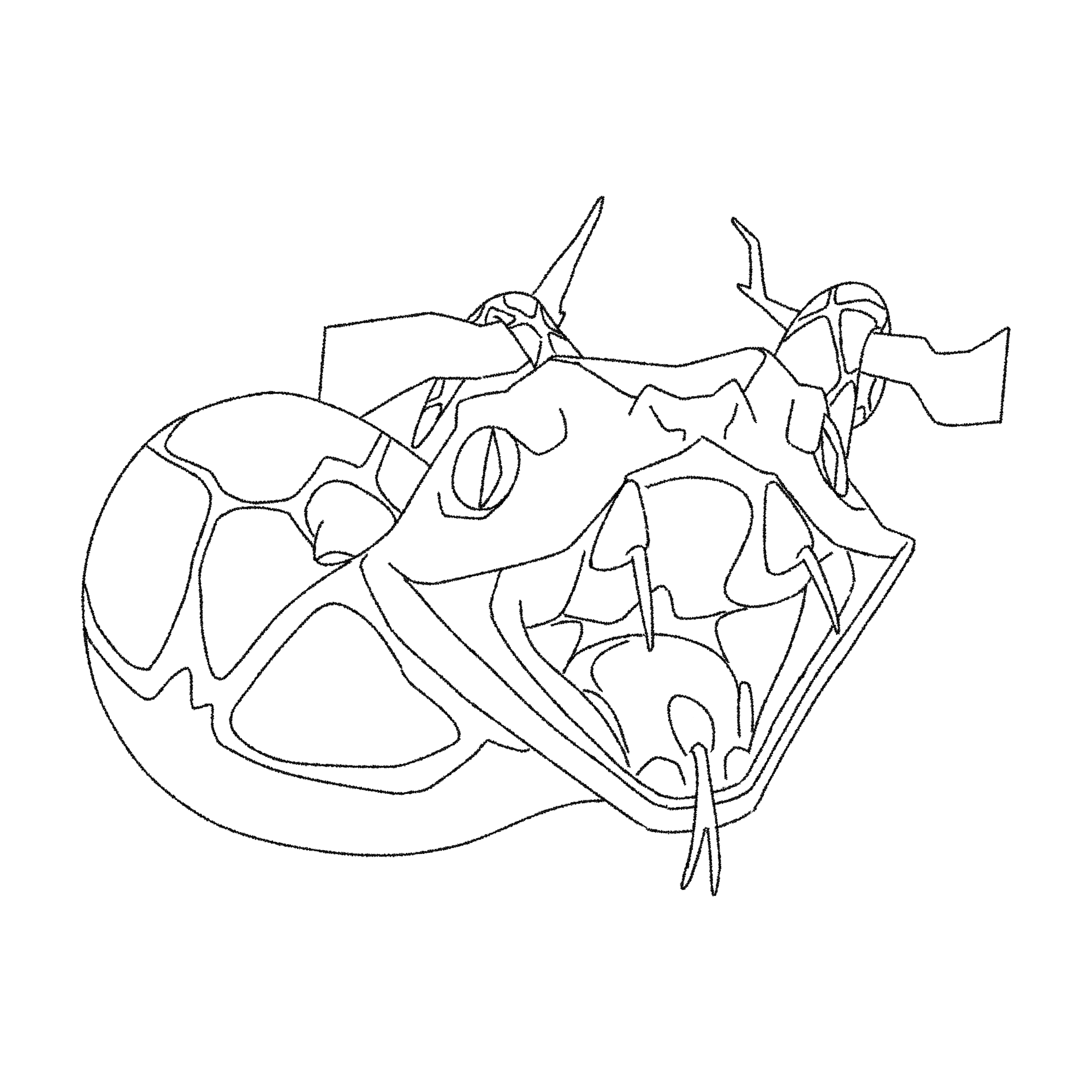 A Snake colouring outline